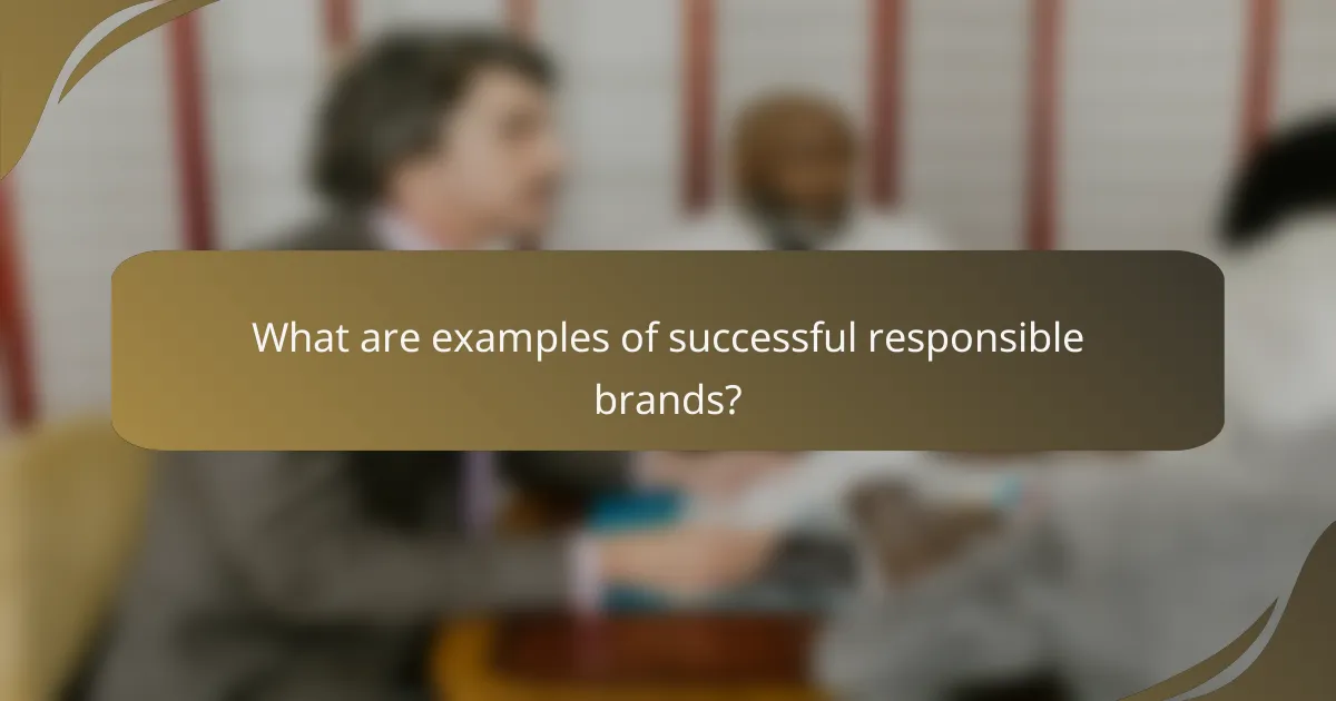 What are examples of successful responsible brands?