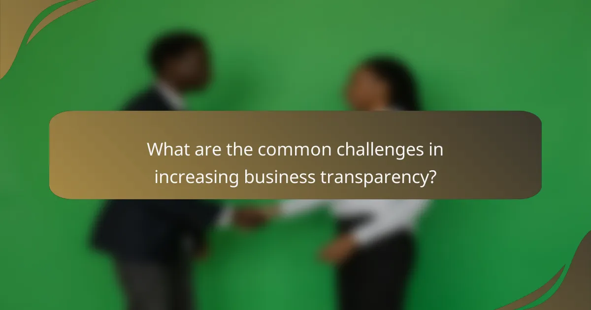 What are the common challenges in increasing business transparency?
